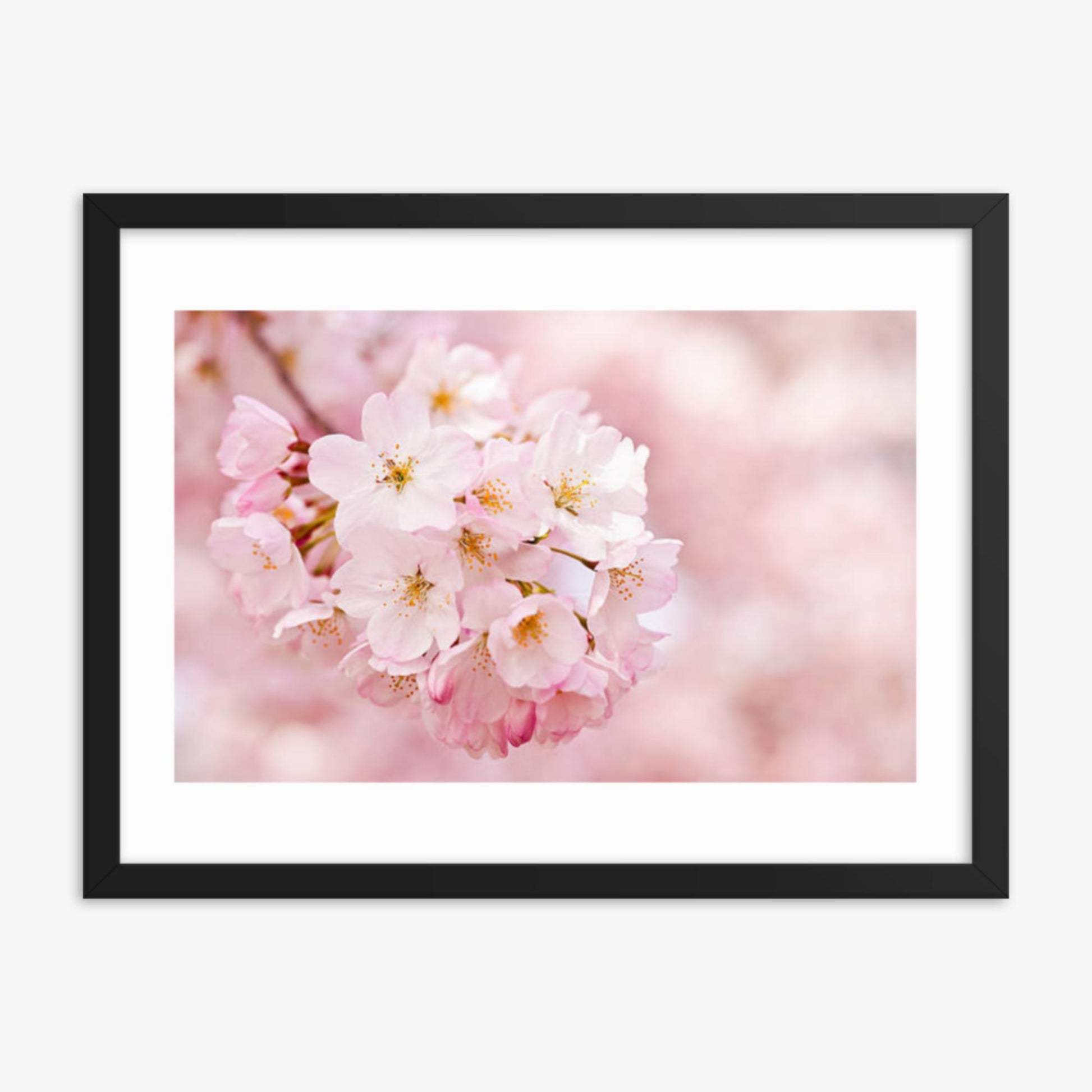 Cherry Blossoms 18x24 in Poster With Black Frame