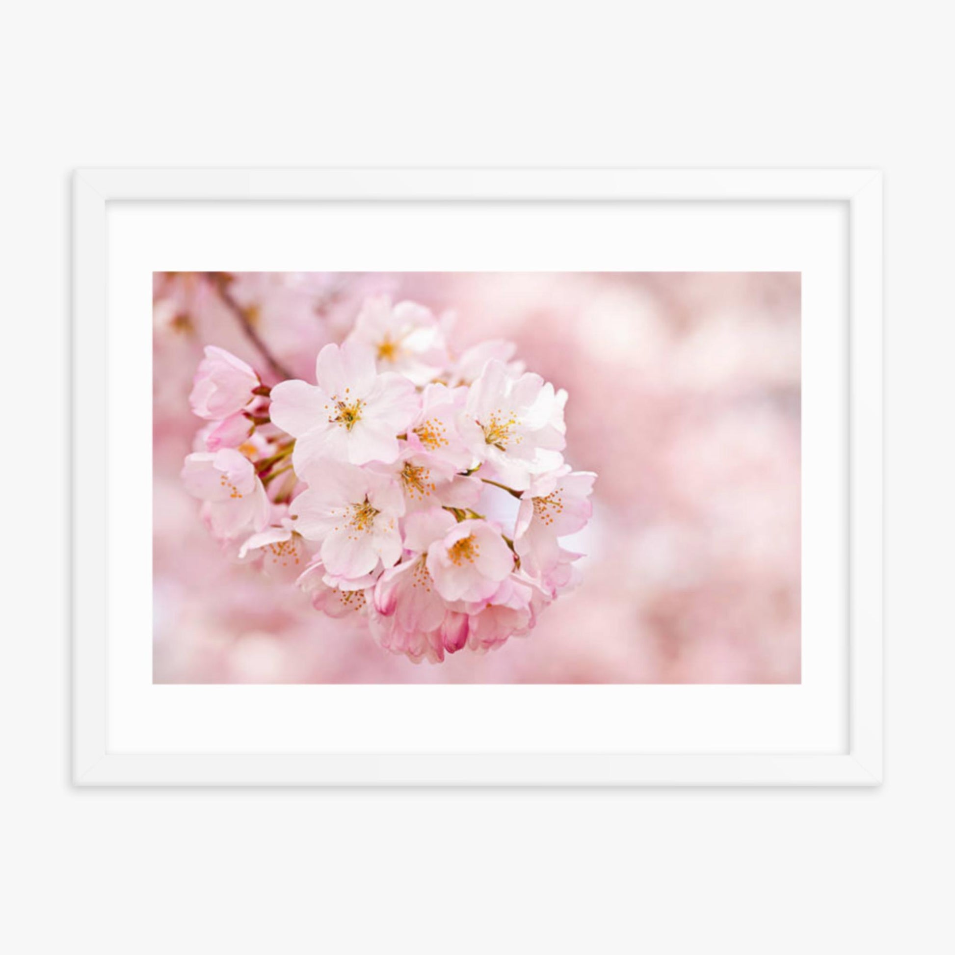 Cherry Blossoms 18x24 in Poster With White Frame