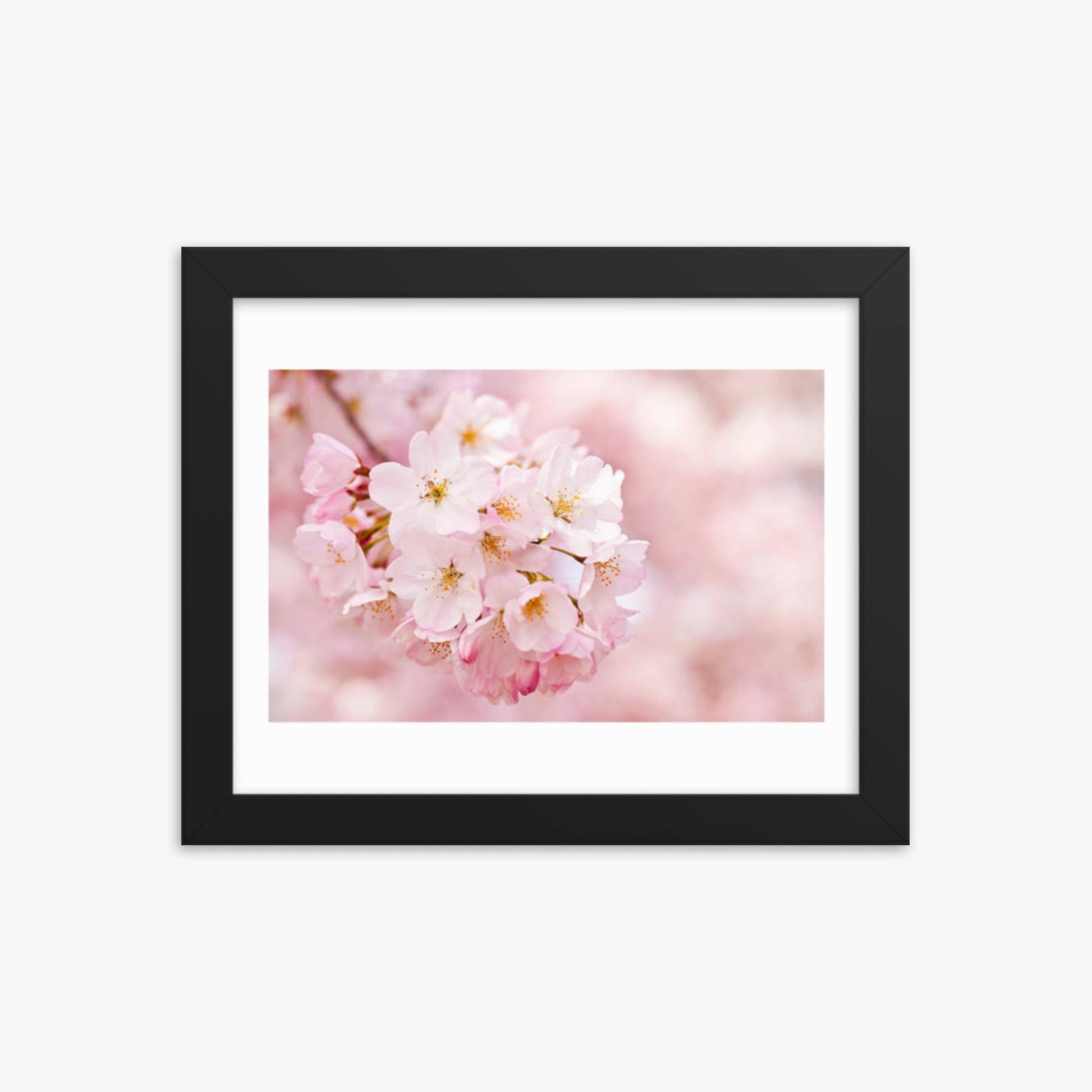 Cherry Blossoms 8x10 in Poster With Black Frame