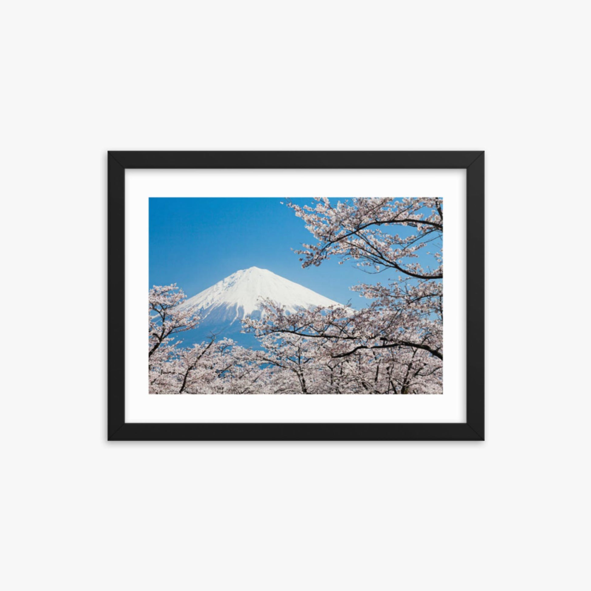 Mount Fuji & Cherry Blossoms 12x16 in Poster With Black Frame