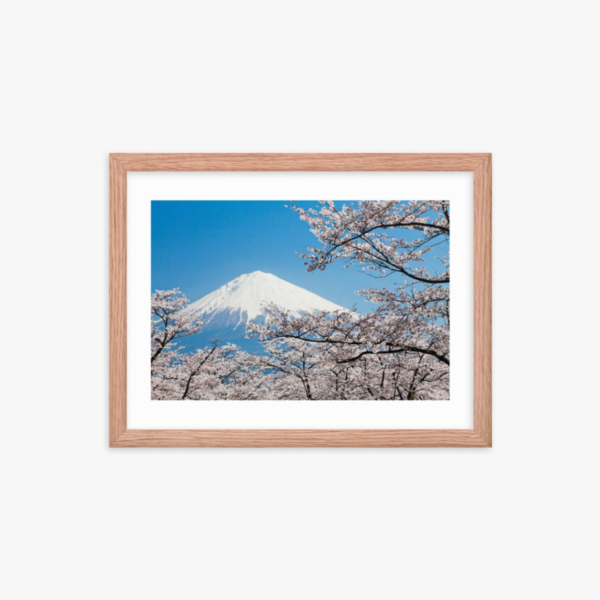 Mount Fuji & Cherry Blossoms 12x16 in Poster With Oak Frame