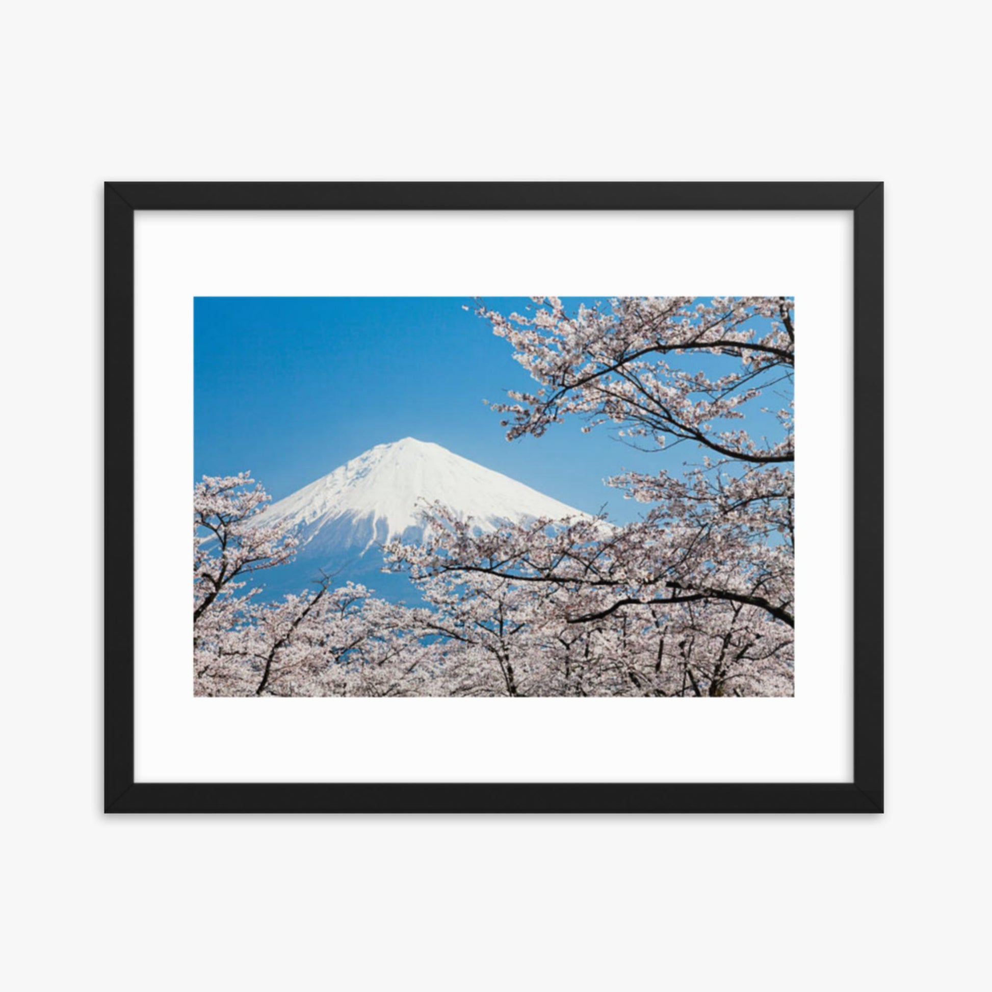 Mount Fuji & Cherry Blossoms 16x20 in Poster With Black Frame