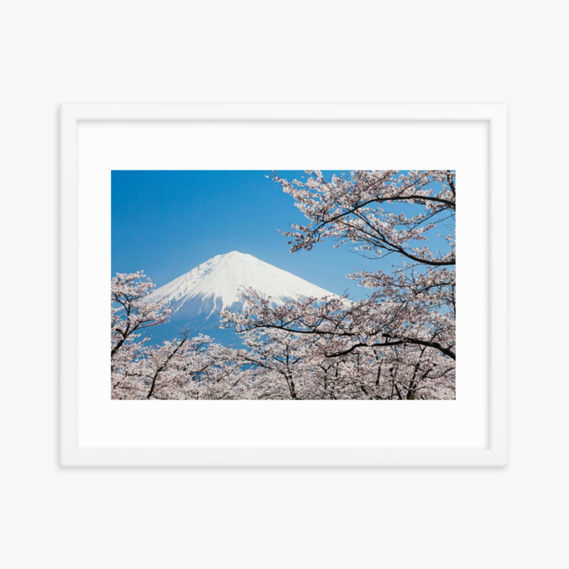 Mount Fuji & Cherry Blossoms 16x20 in Poster With White Frame