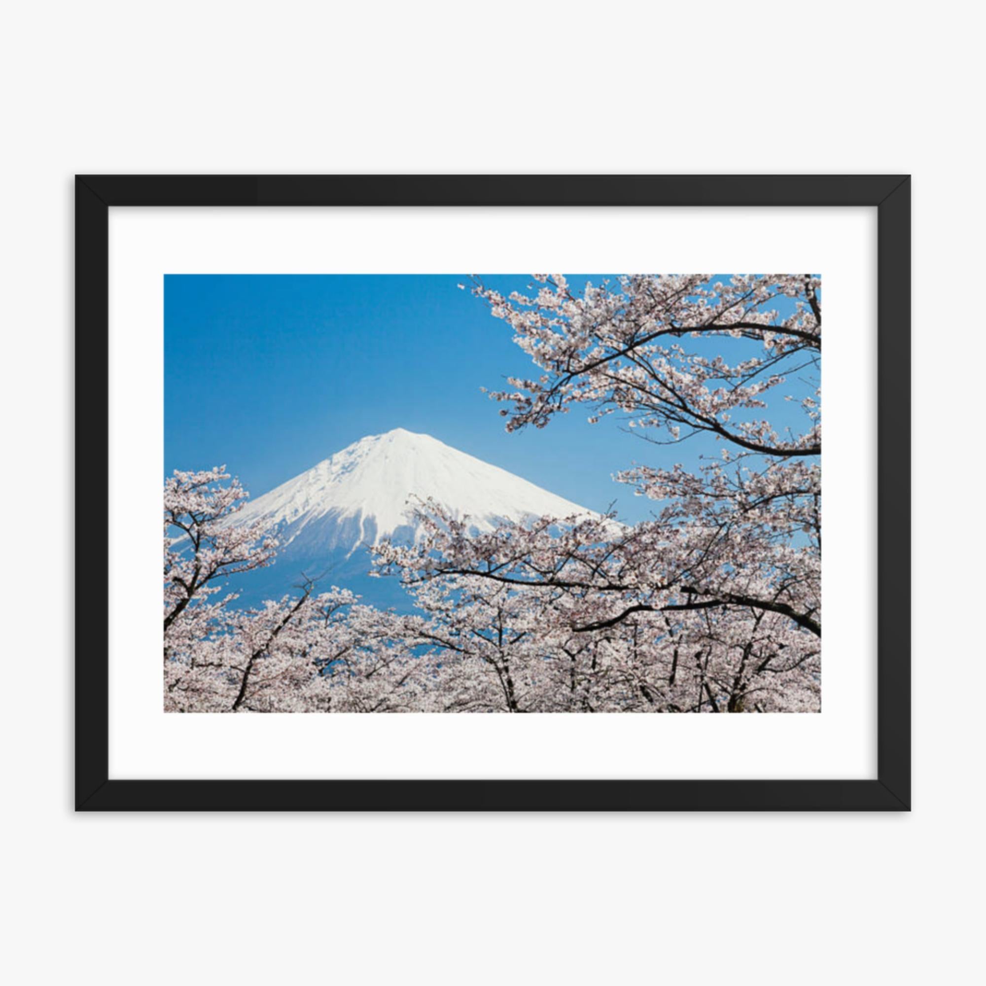 Mount Fuji & Cherry Blossoms 18x24 in Poster With Black Frame