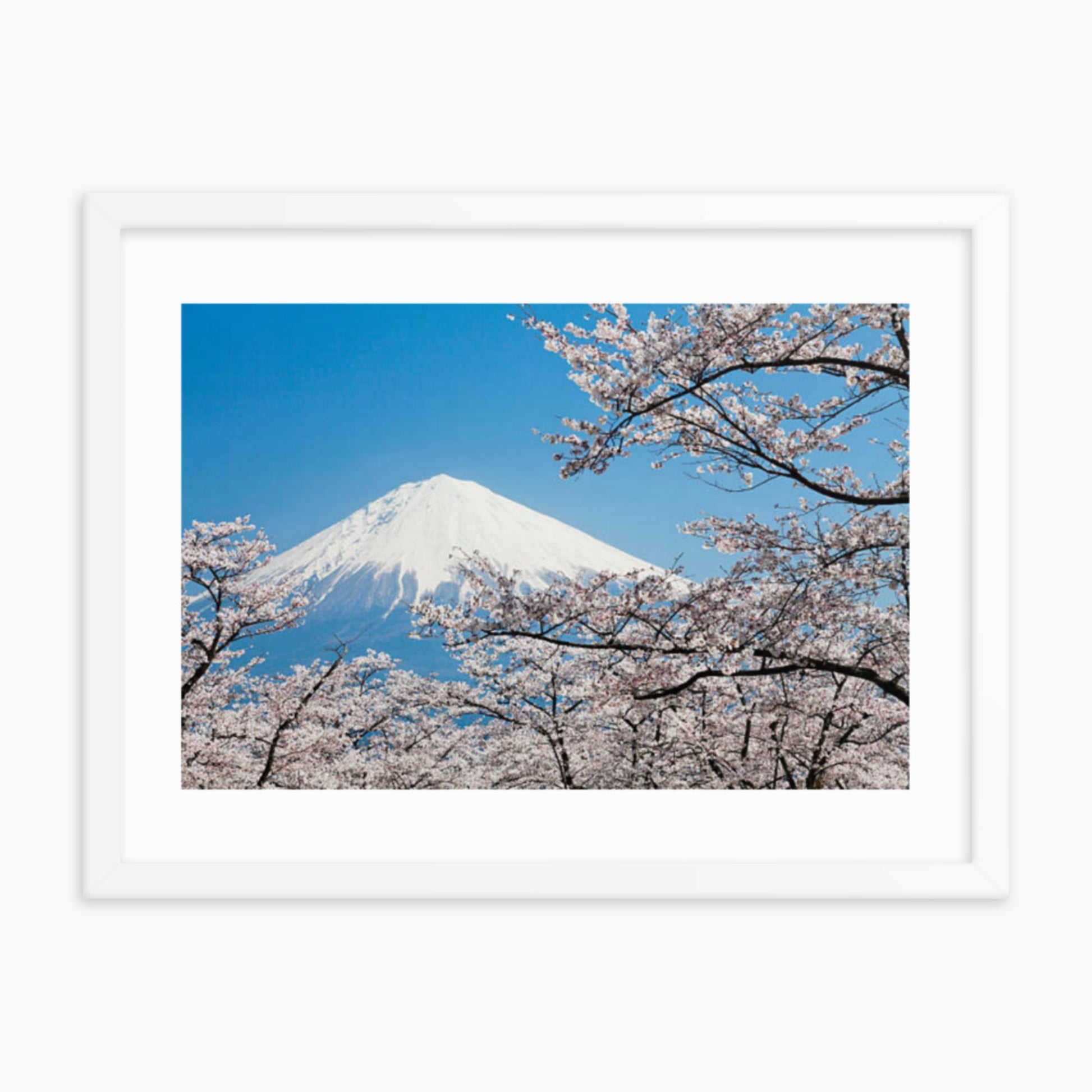 Mount Fuji & Cherry Blossoms 18x24 in Poster With White Frame