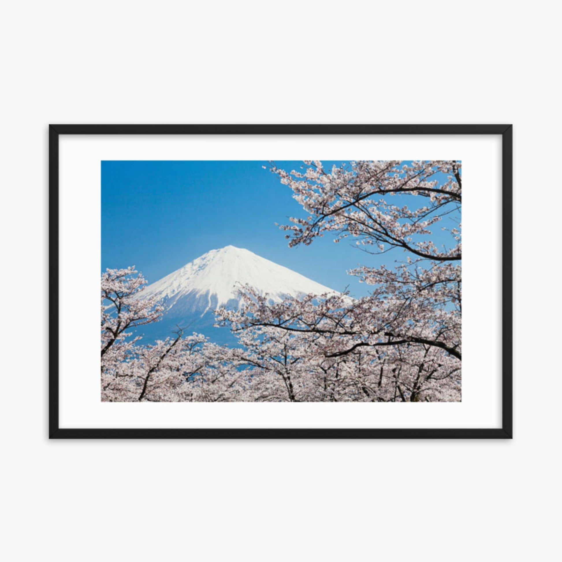 Mount Fuji & Cherry Blossoms 24x36 in Poster With Black Frame