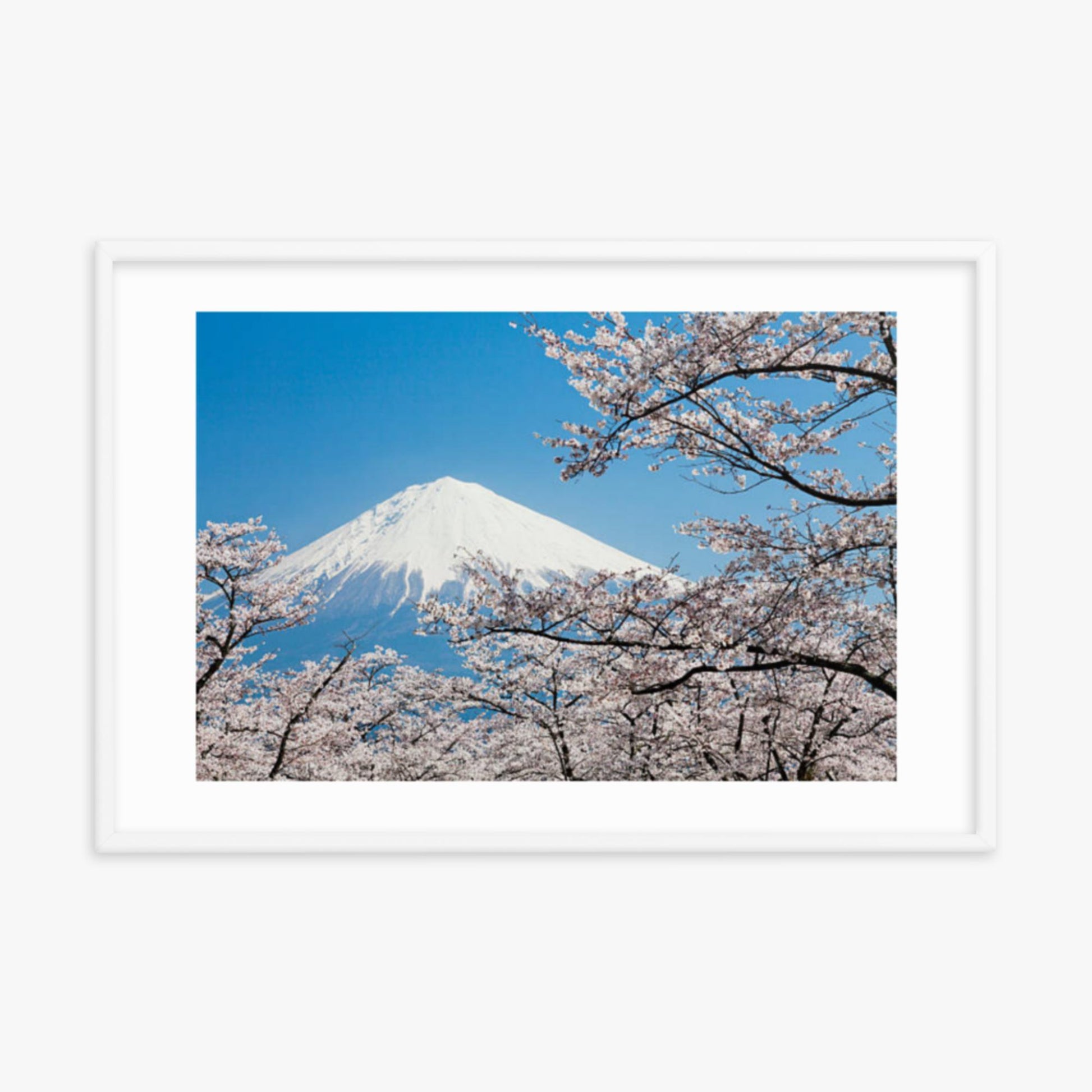 Mount Fuji & Cherry Blossoms 24x36 in Poster With White Frame