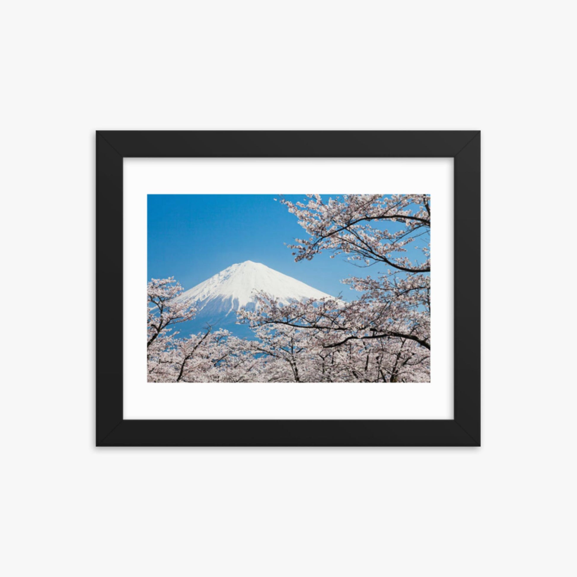 Mount Fuji & Cherry Blossoms 8x10 in Poster With Black Frame