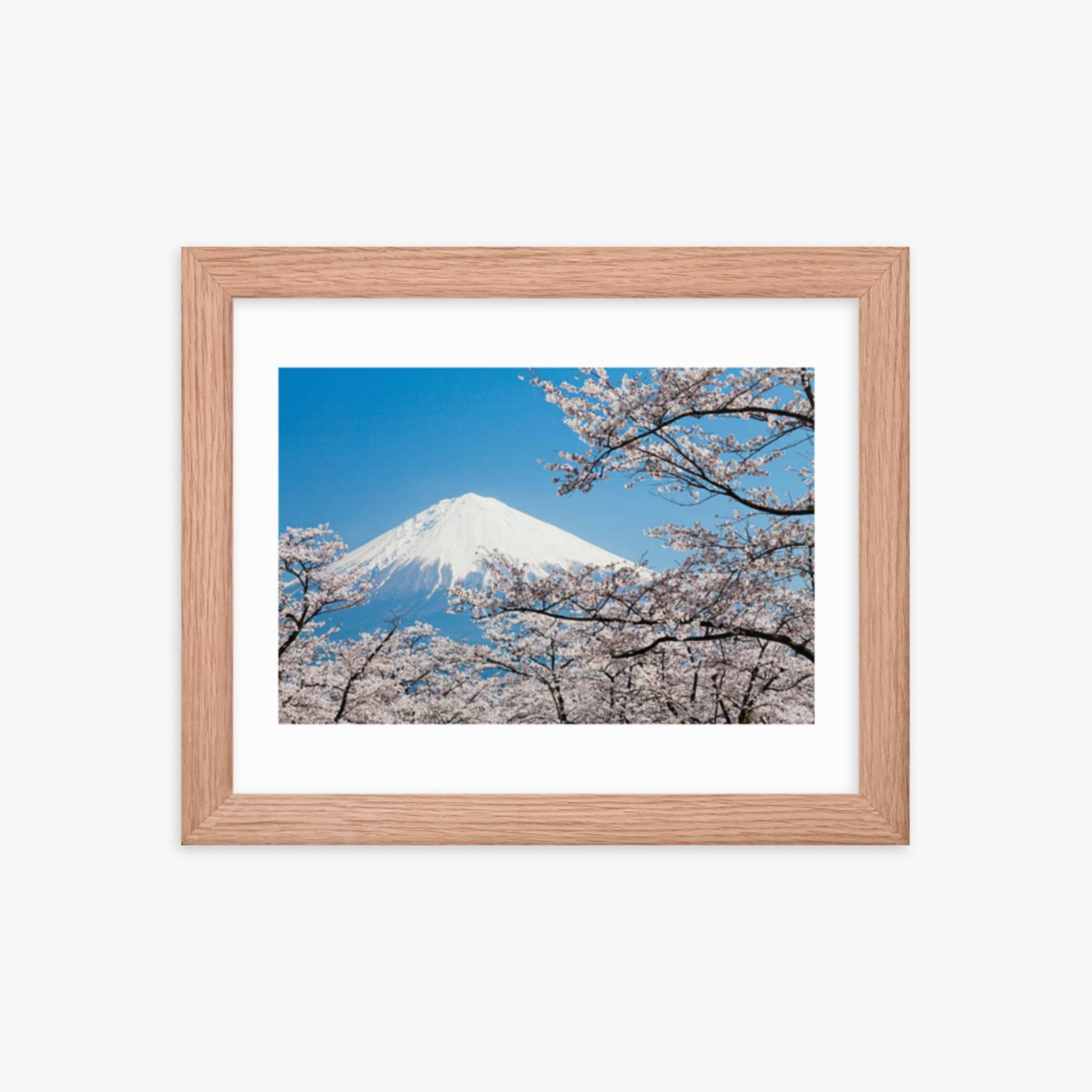 Mount Fuji & Cherry Blossoms 8x10 in Poster With Oak Frame