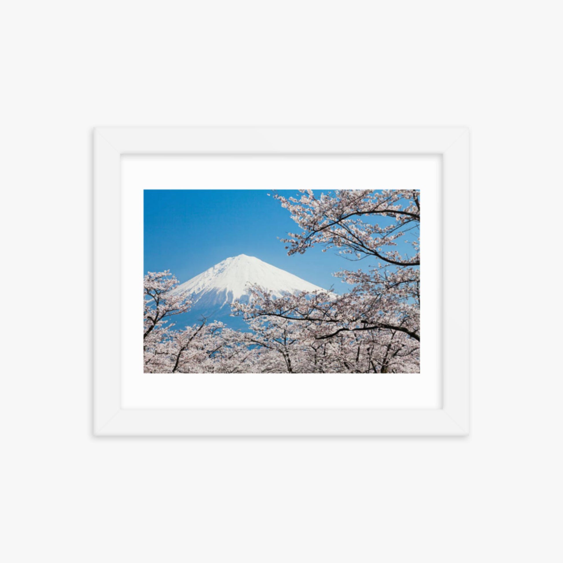 Mount Fuji & Cherry Blossoms 8x10 in Poster With White Frame