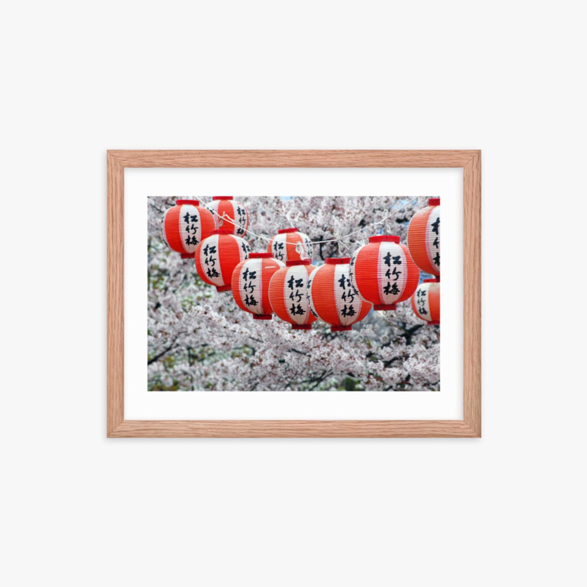Japanese Lanterns and Cherry Blossom, Kyoto, Japan 12x16 in Poster With Oak Frame