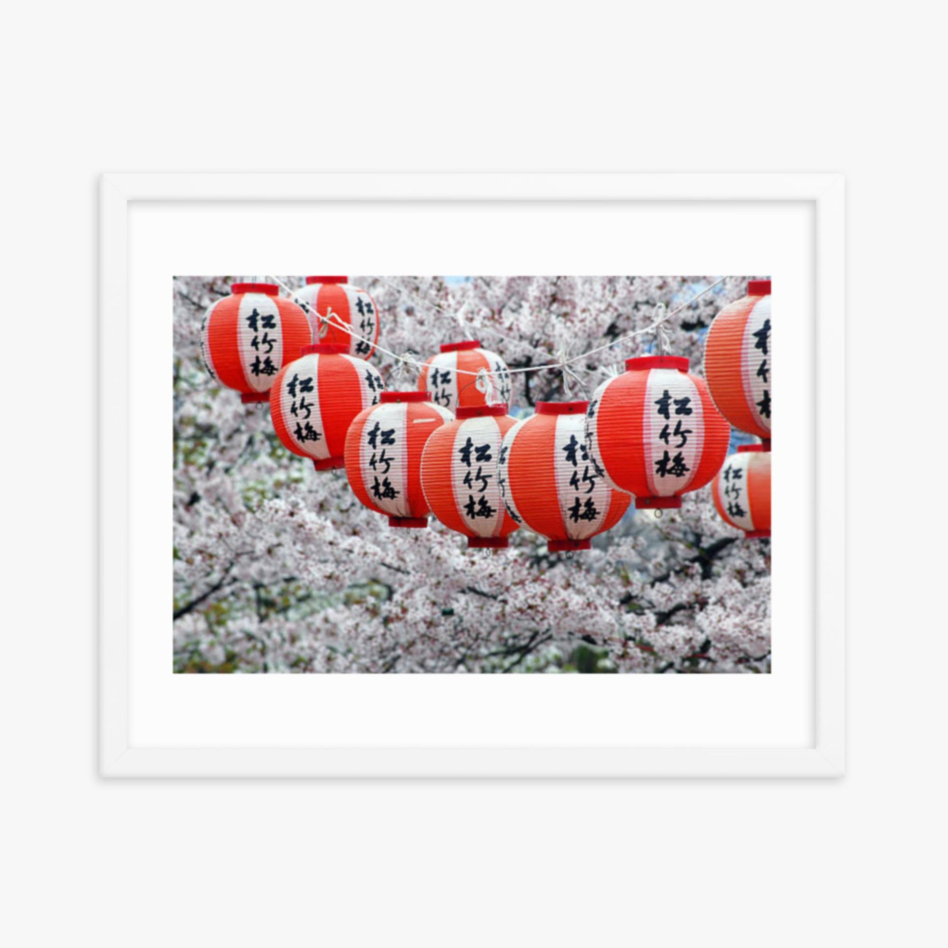 Japanese Lanterns and Cherry Blossom, Kyoto, Japan 16x20 in Poster With White Frame