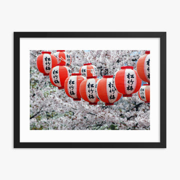 Japanese Lanterns and Cherry Blossom, Kyoto, Japan 18x24 in Poster With Black Frame