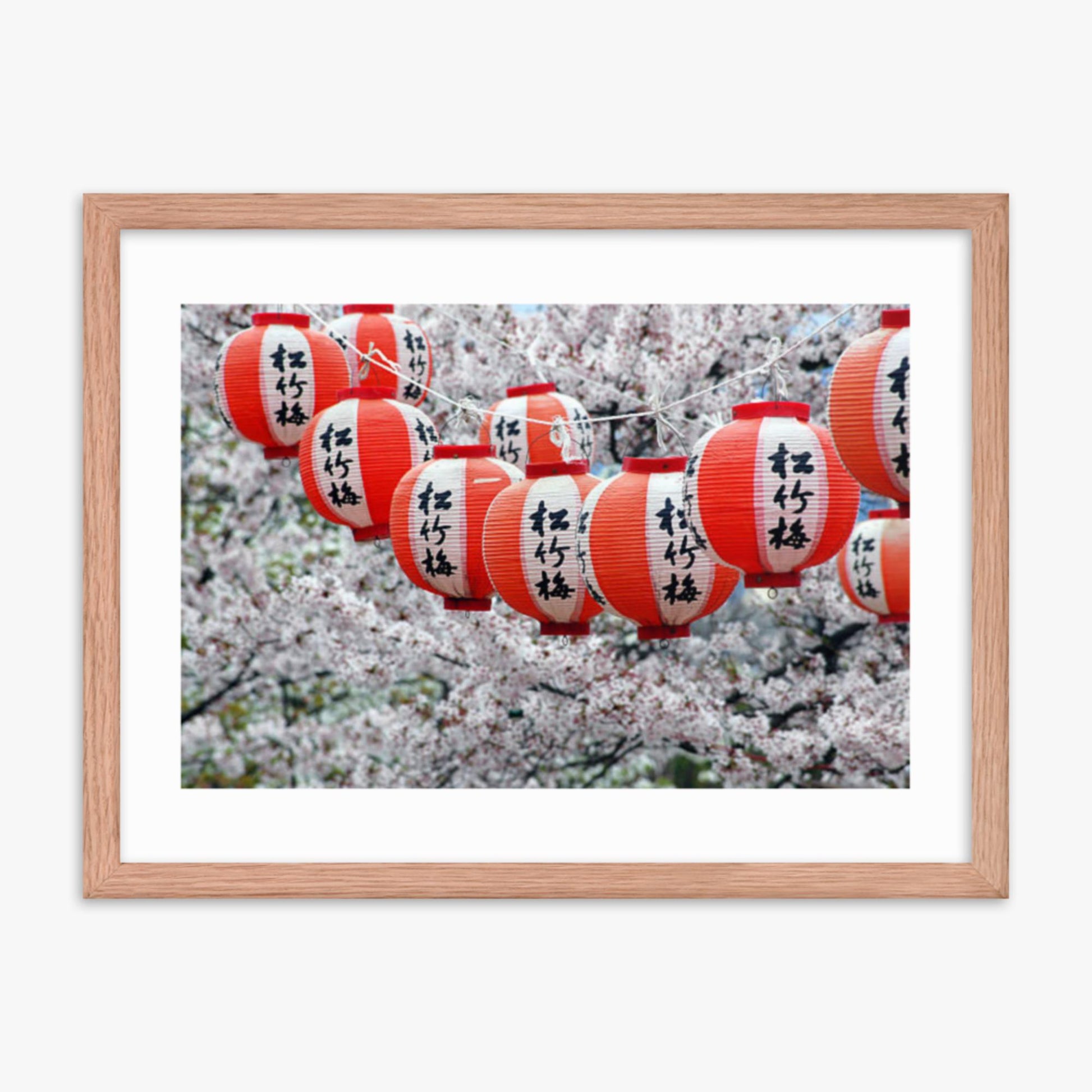 Japanese Lanterns and Cherry Blossom, Kyoto, Japan 18x24 in Poster With Oak Frame