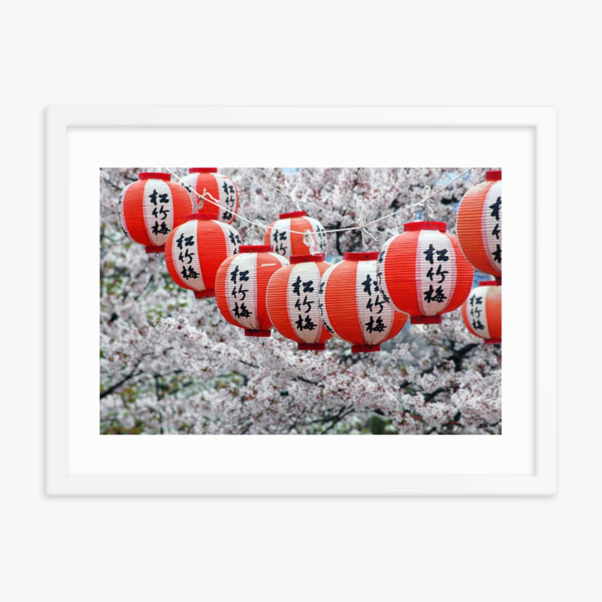 Japanese Lanterns and Cherry Blossom, Kyoto, Japan 18x24 in Poster With White Frame
