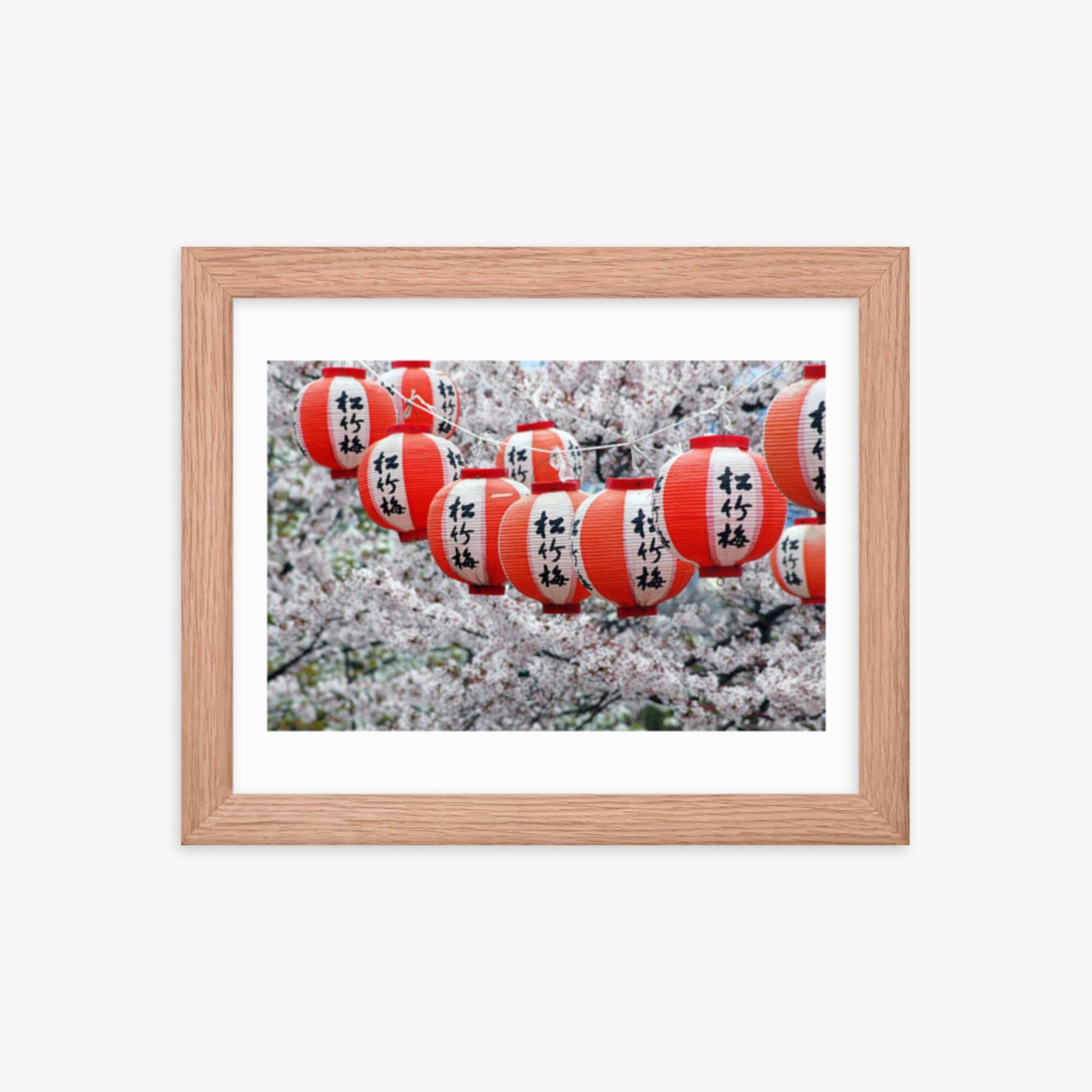 Japanese Lanterns and Cherry Blossom, Kyoto, Japan 8x10 in Poster With Oak Frame