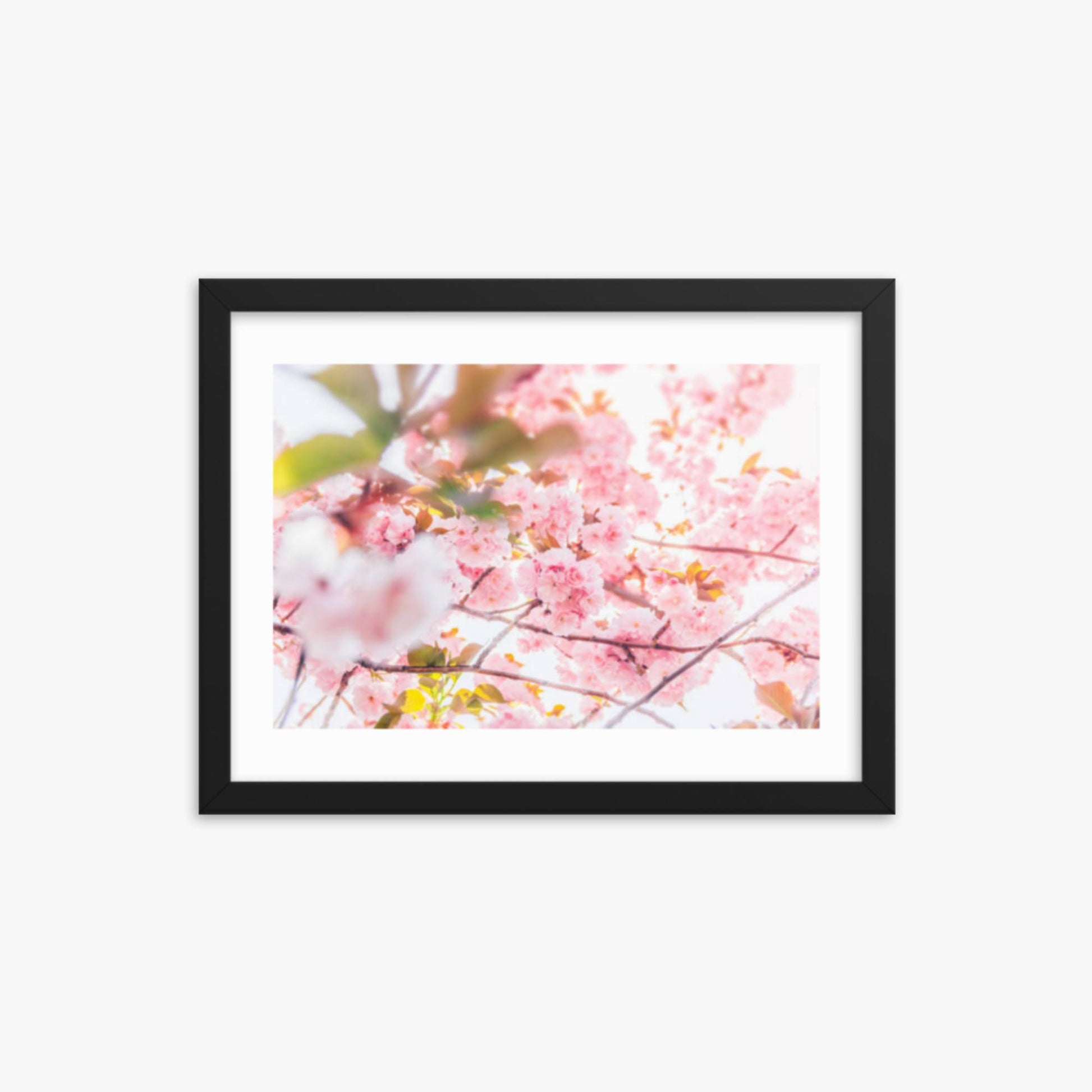 Cherry blossom flowers and sunshine 12x16 in Poster With Black Frame