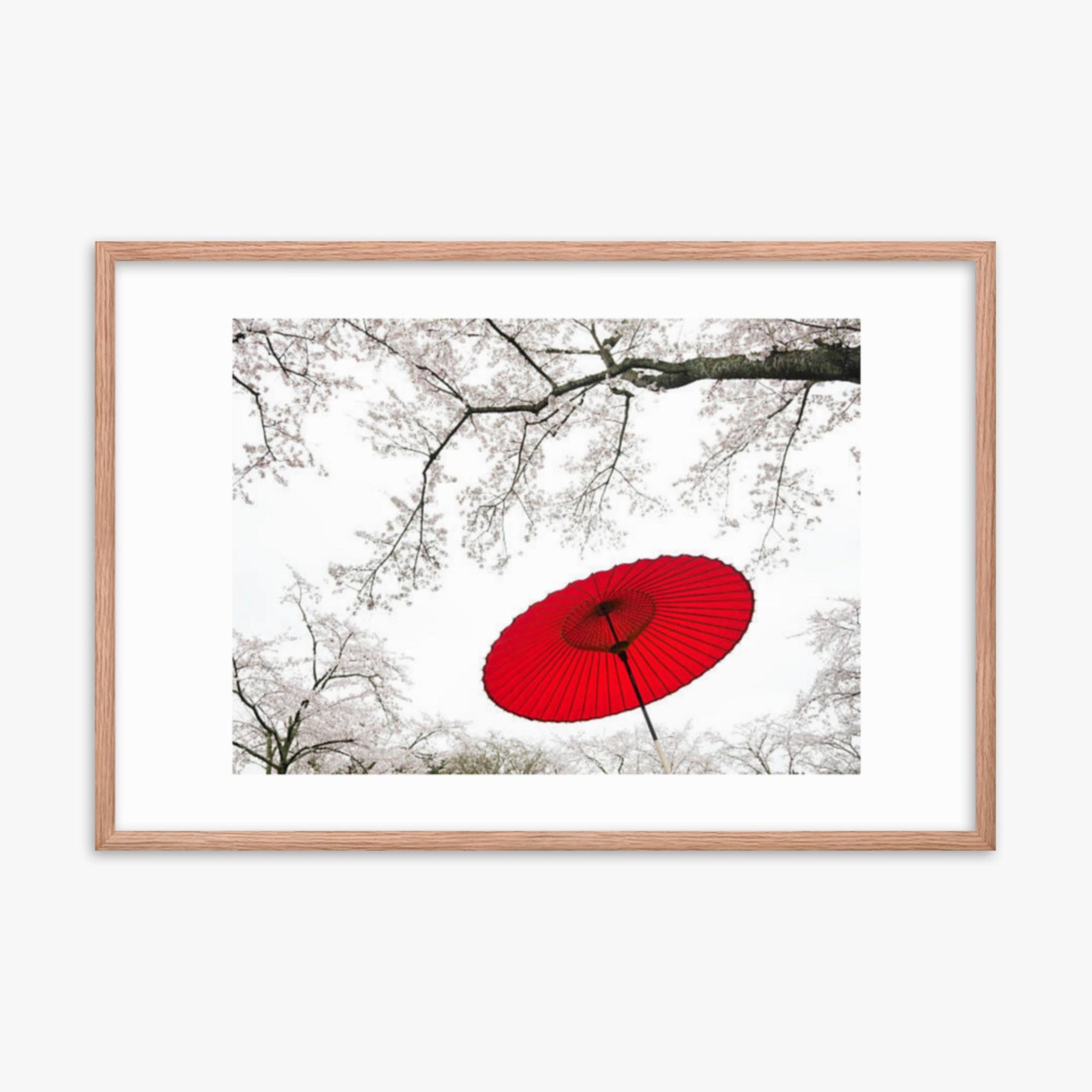 Japanese Umbrella 24x36 in Poster With Oak Frame