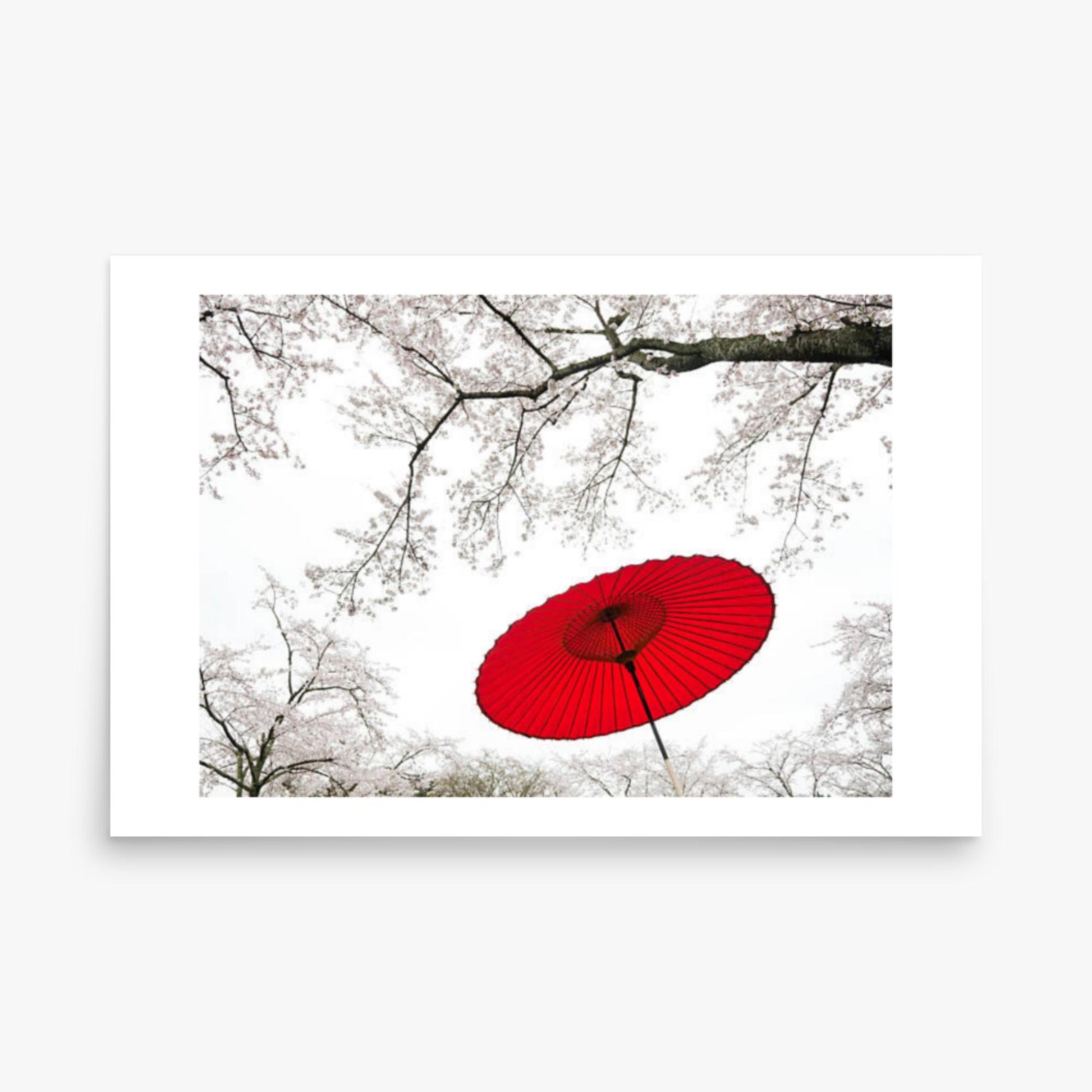 Japanese Umbrella 24x36 in Poster