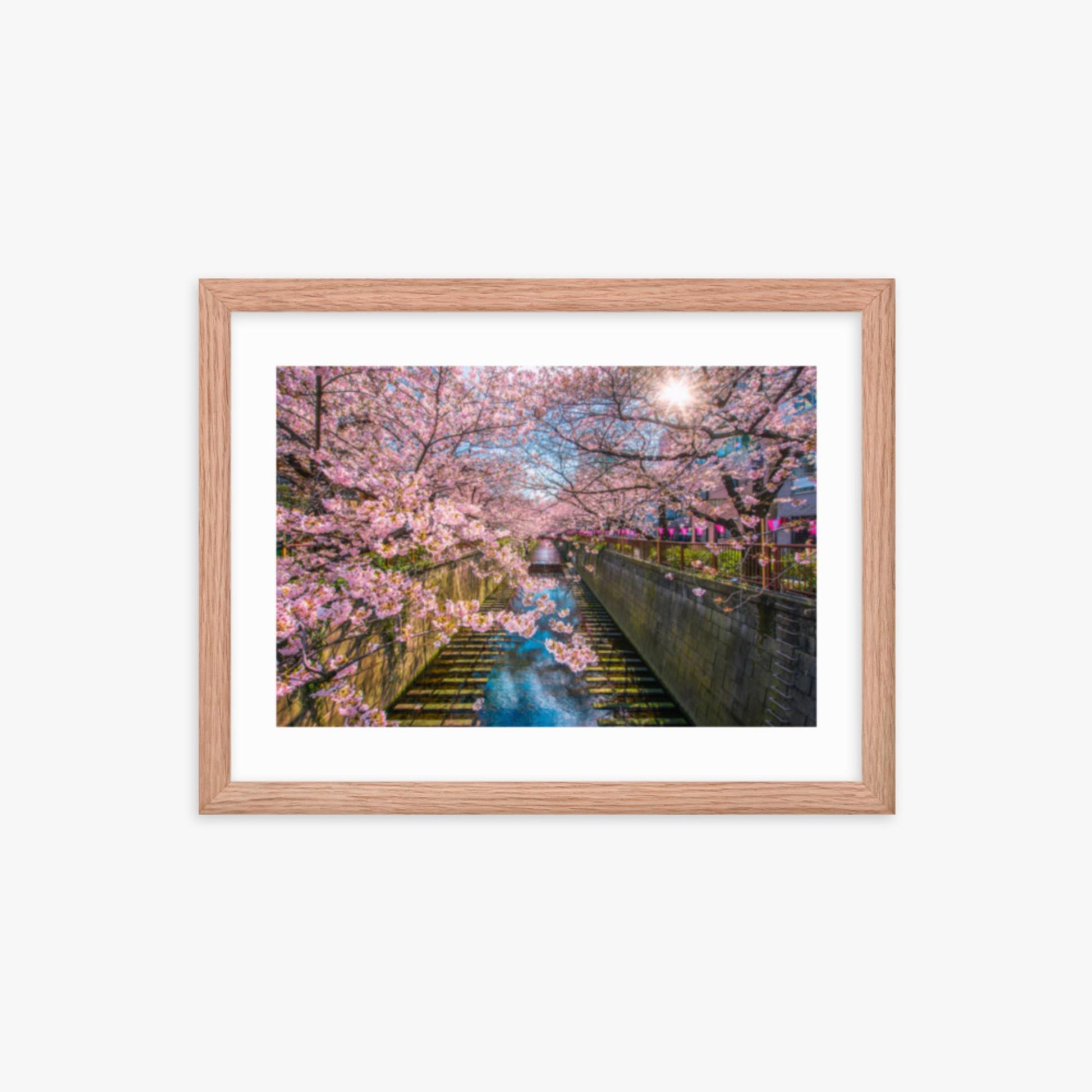 Cherry blossom sakura lined Meguro Canal in Tokyo 12x16 in Poster With Oak Frame