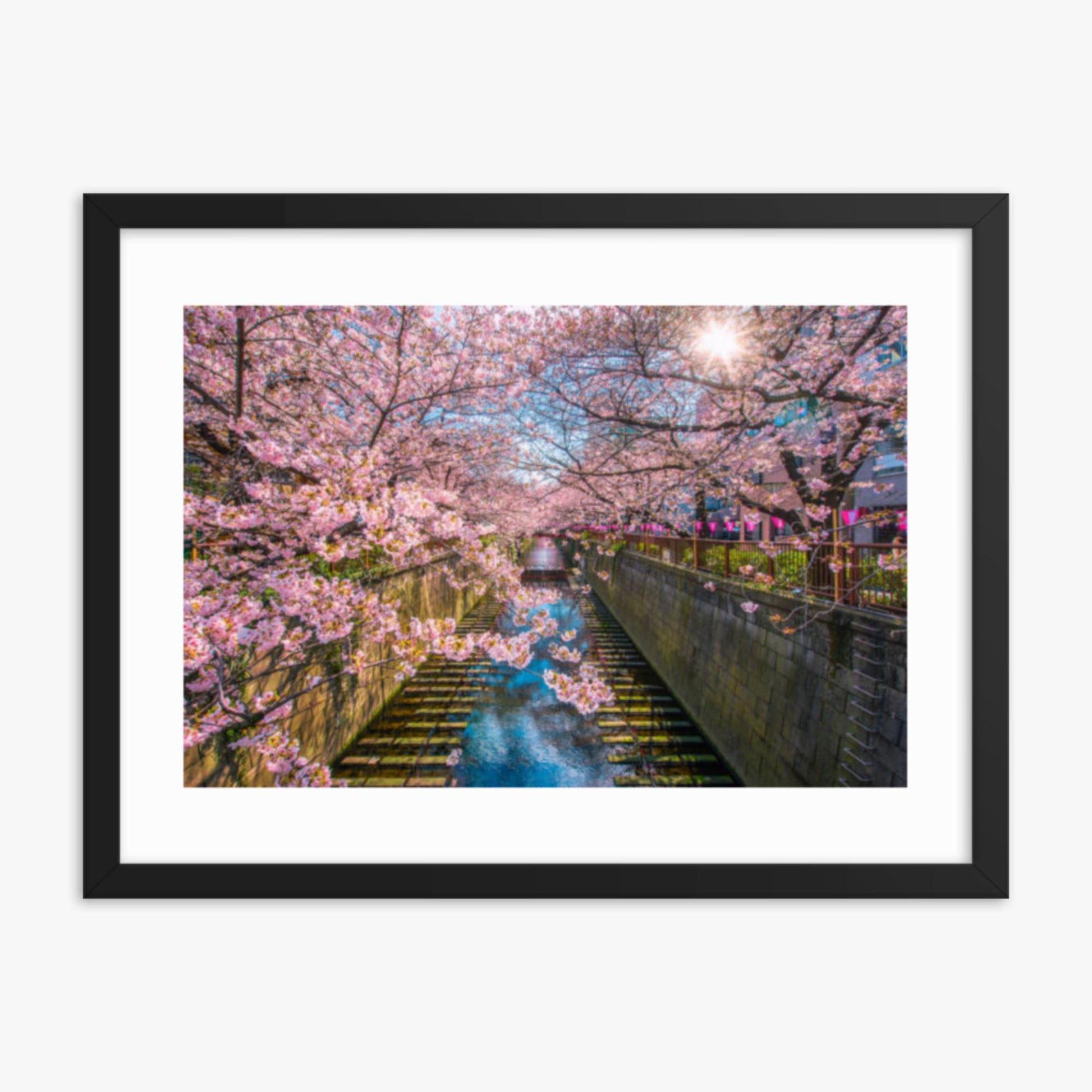 Cherry blossom sakura lined Meguro Canal in Tokyo 18x24 in Poster With Black Frame