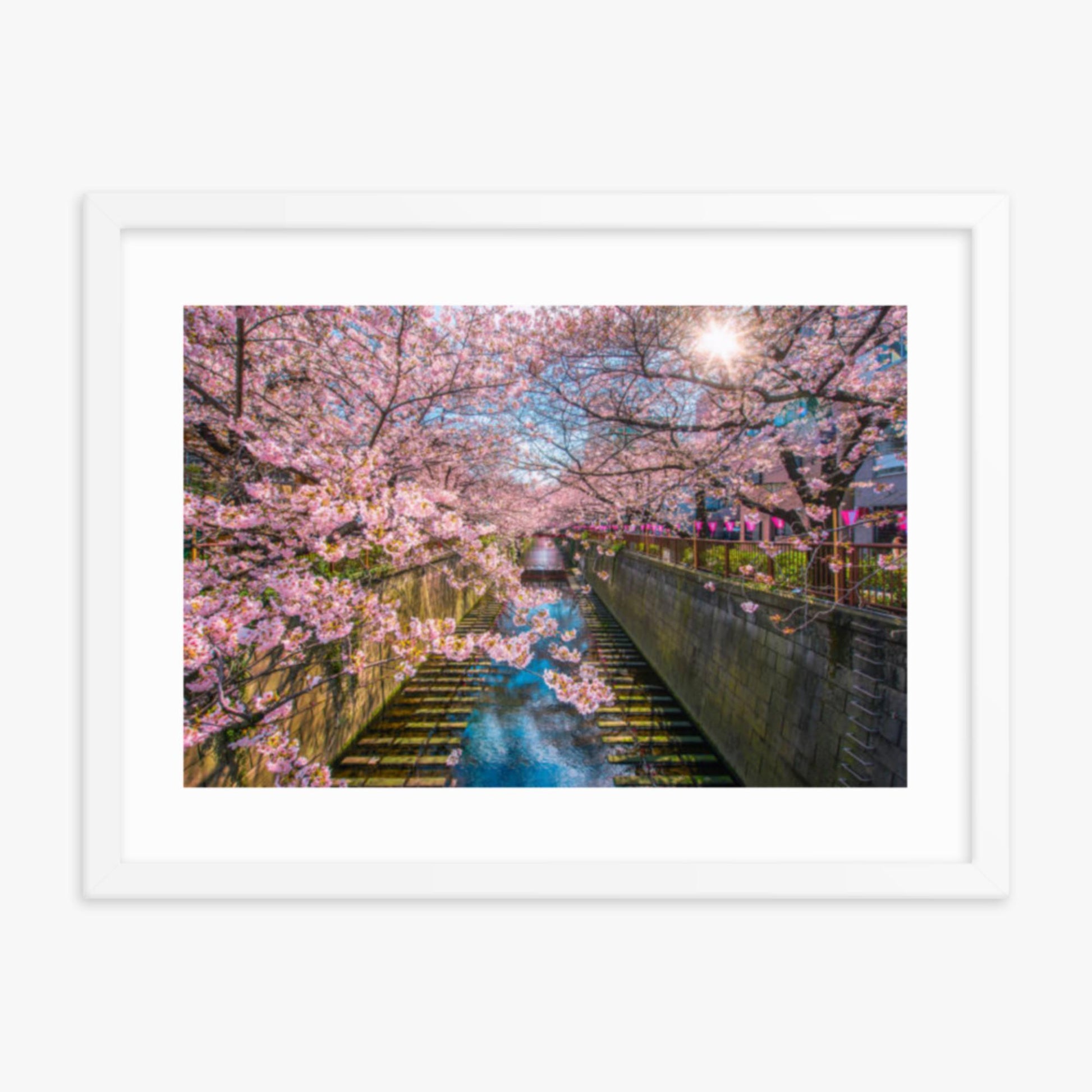 Cherry blossom sakura lined Meguro Canal in Tokyo 18x24 in Poster With White Frame