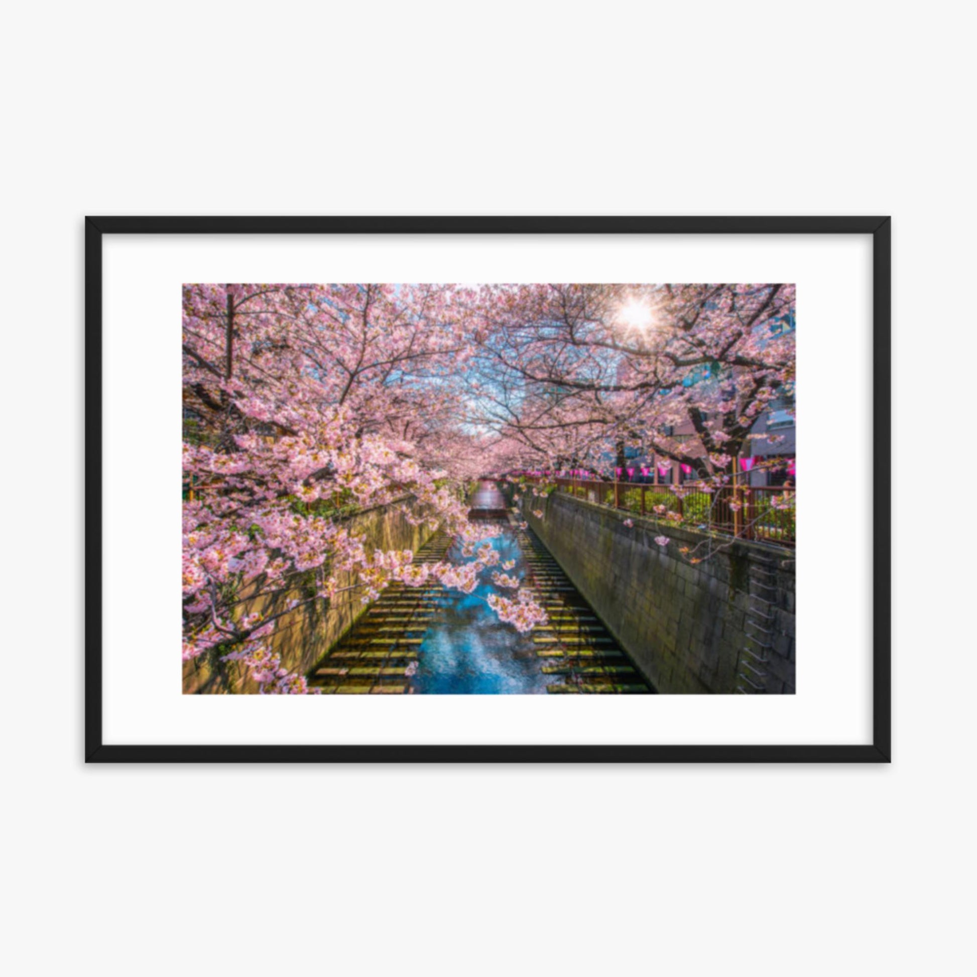 Cherry blossom sakura lined Meguro Canal in Tokyo 24x36 in Poster With Black Frame