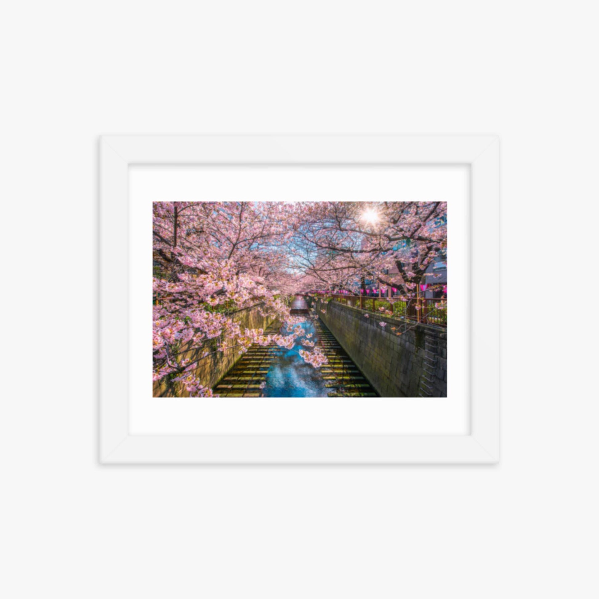 Cherry blossom sakura lined Meguro Canal in Tokyo 8x10 in Poster With White Frame