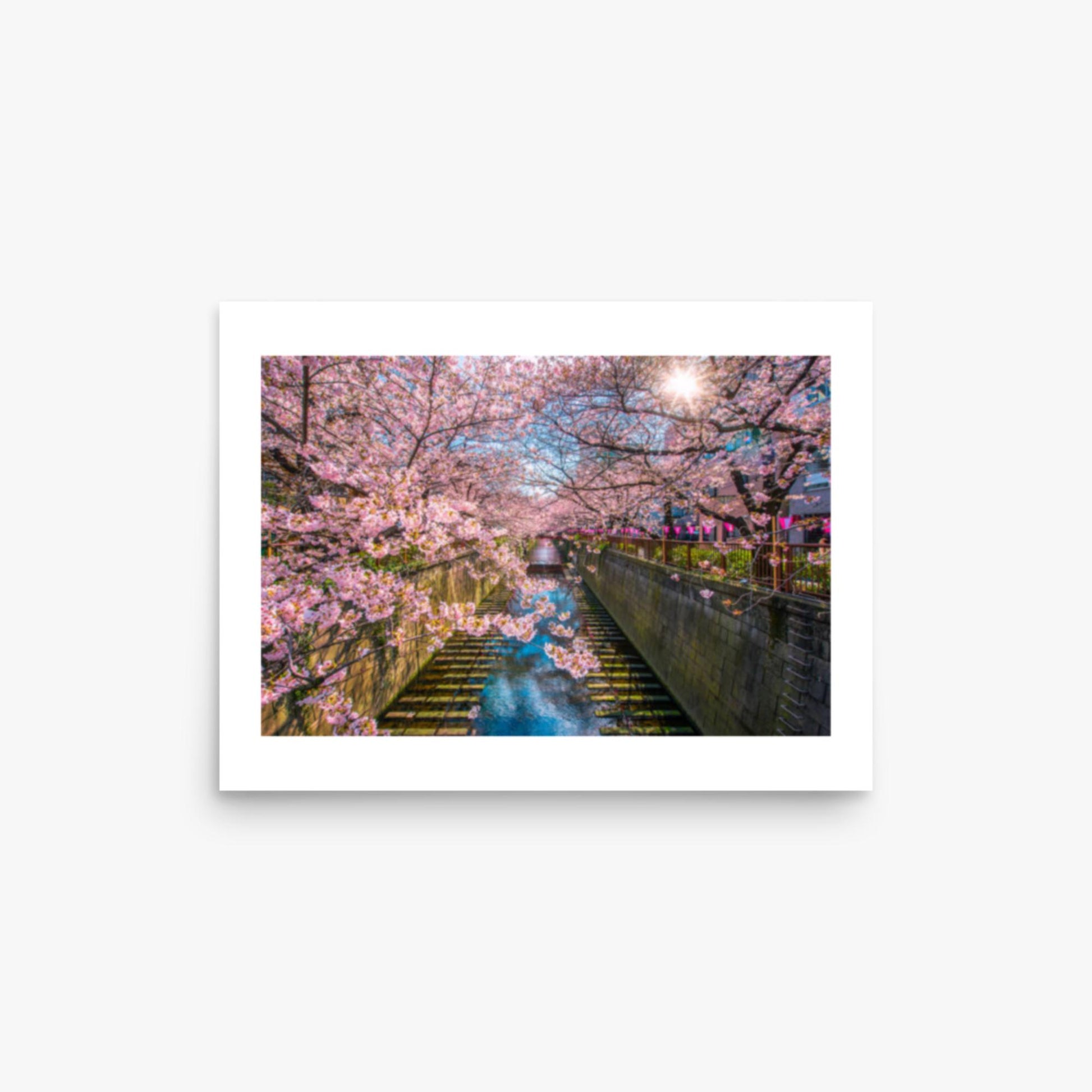 Cherry blossom sakura lined Meguro Canal in Tokyo 12x16 in Poster