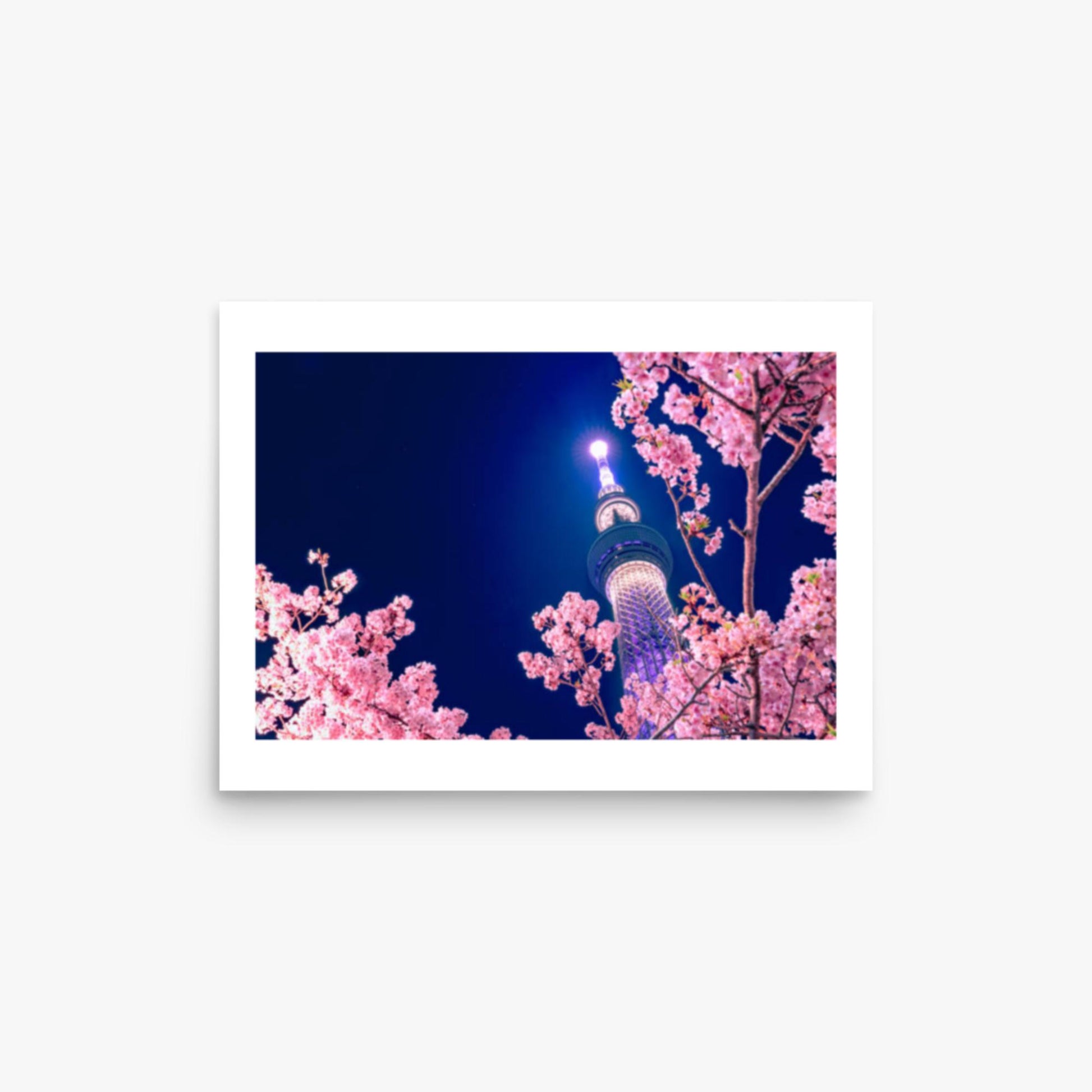 Tokyo Sky tree with Sakura 12x16 in Poster