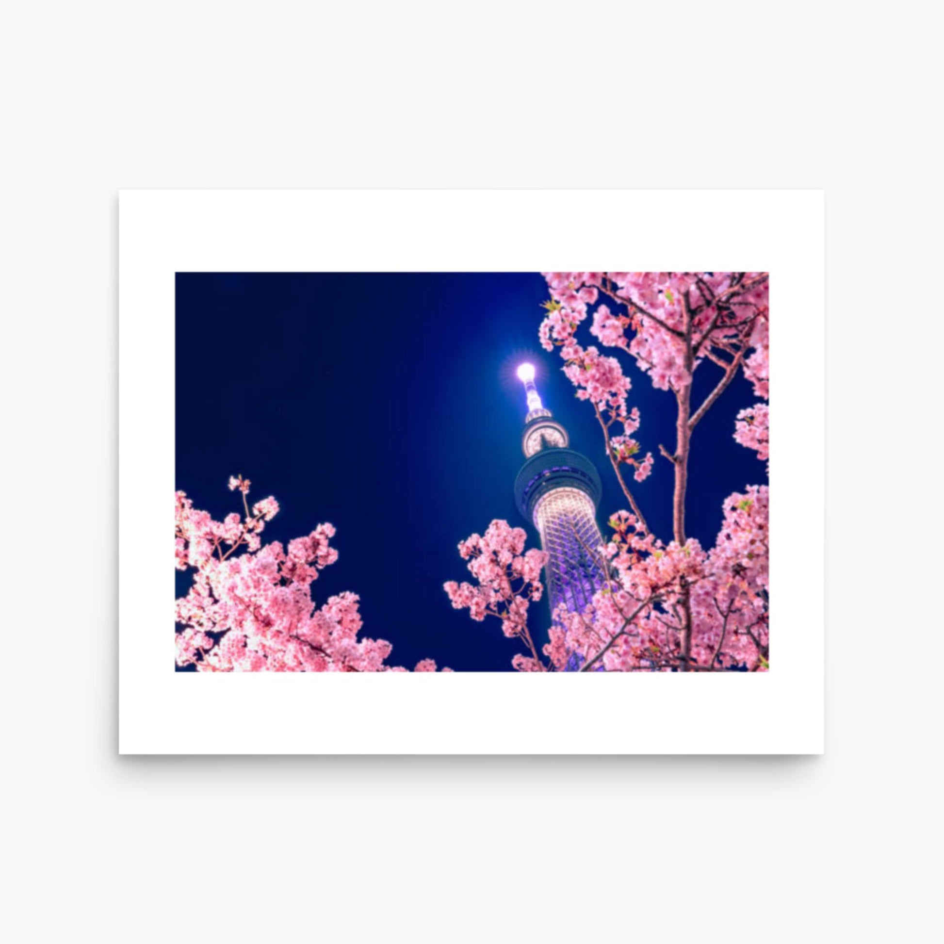 Tokyo Sky tree with Sakura 16x20 in Poster