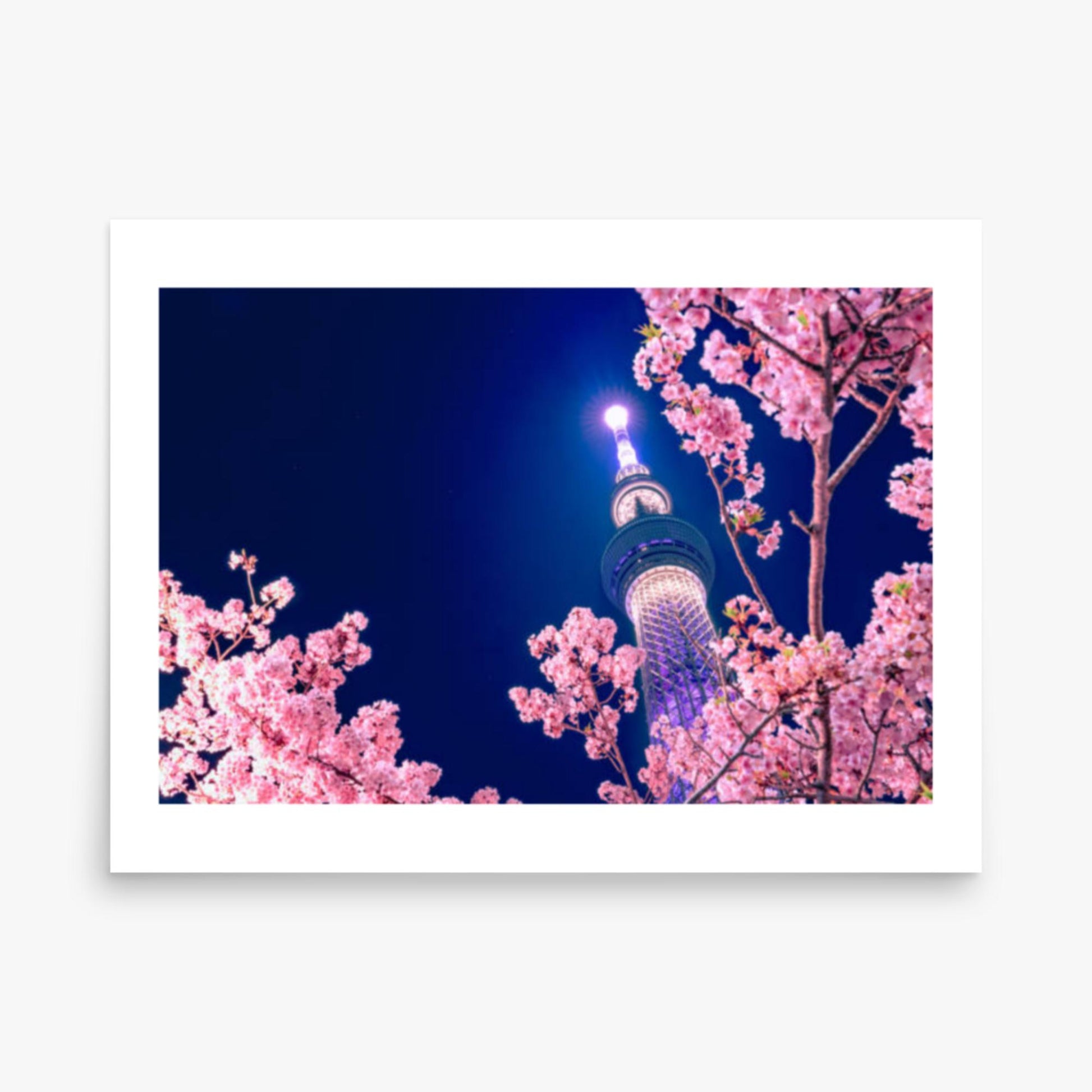 Tokyo Sky tree with Sakura 18x24 in Poster
