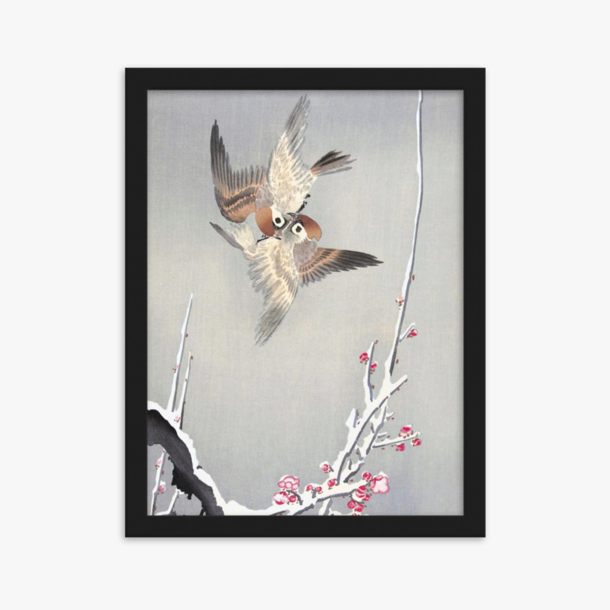 Ohara Koson - Sparrows and Snowy Plum Tree 30x40 cm Poster With Black Frame