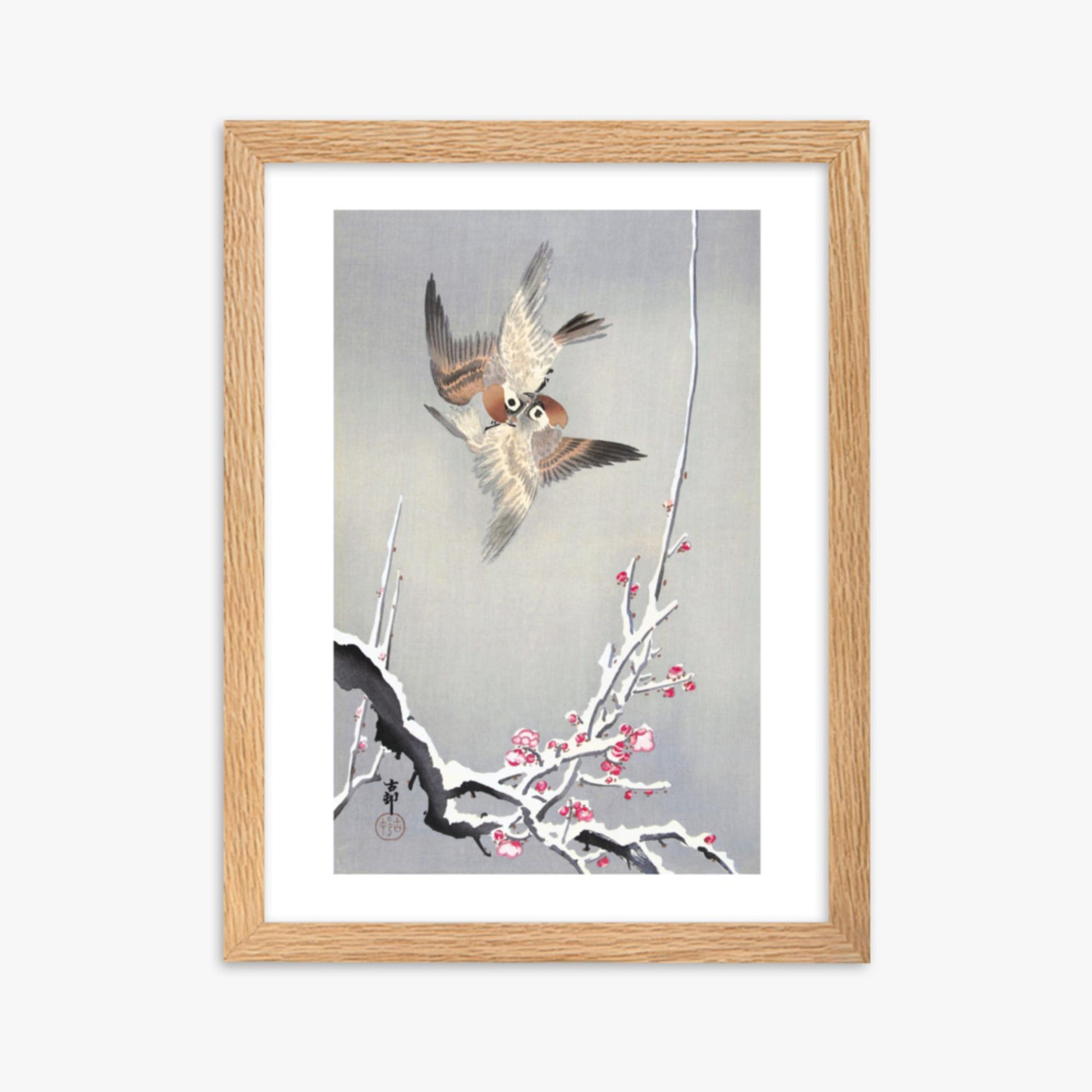 Ohara Koson - Sparrows and Snowy Plum Tree 30x40 cm Poster With Oak Frame