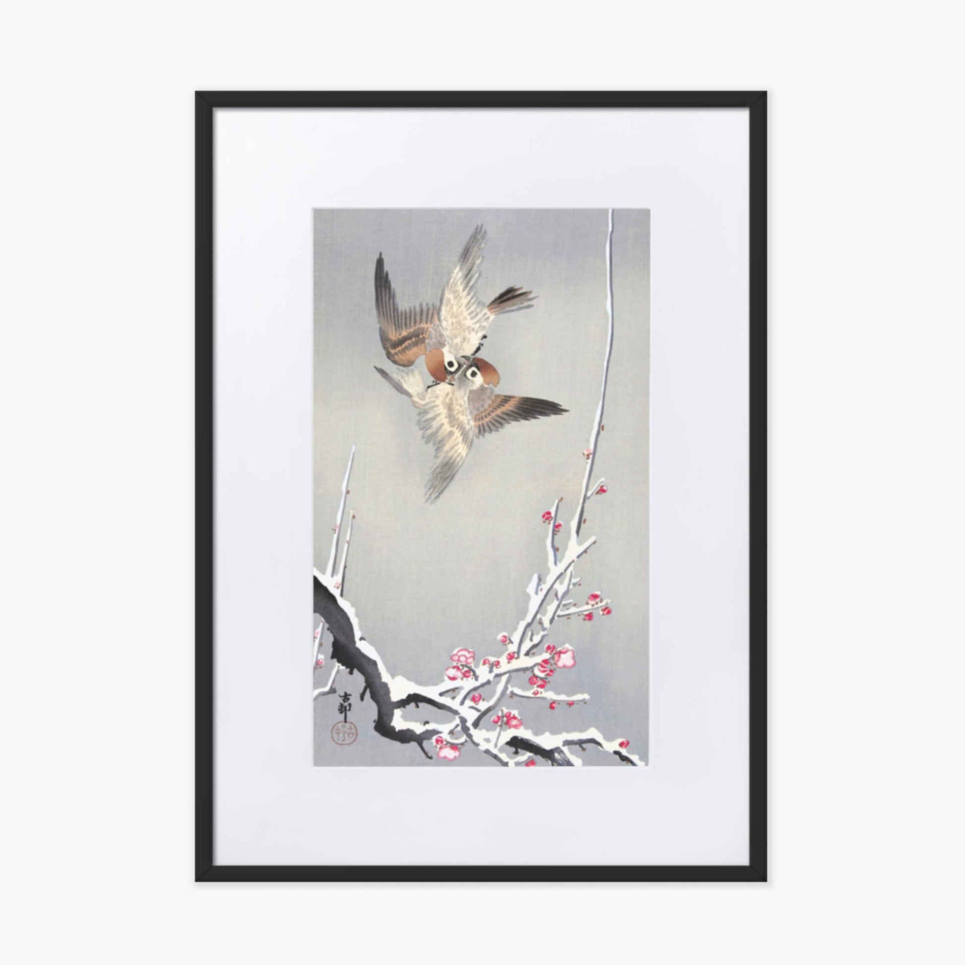 Ohara Koson - Sparrows and Snowy Plum Tree 50x70 cm Poster With Black Frame