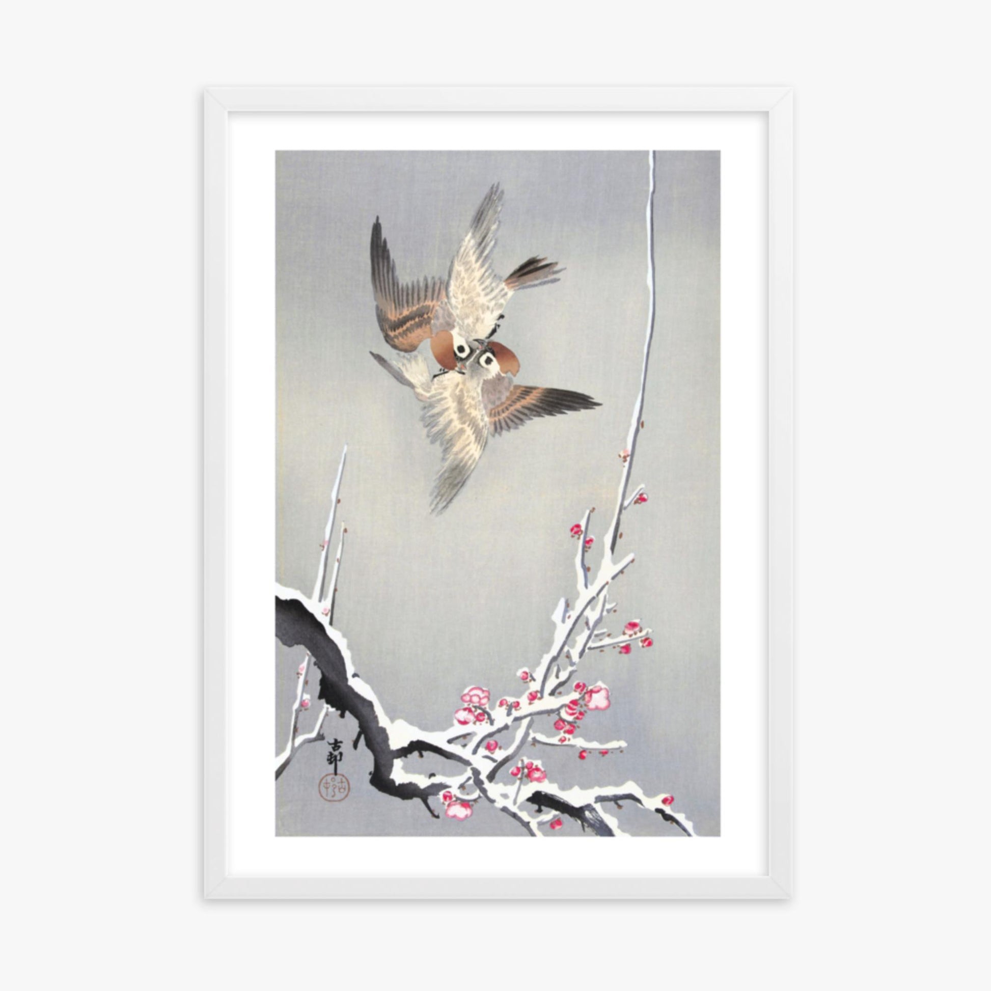Ohara Koson - Sparrows and Snowy Plum Tree 50x70 cm Poster With White Frame