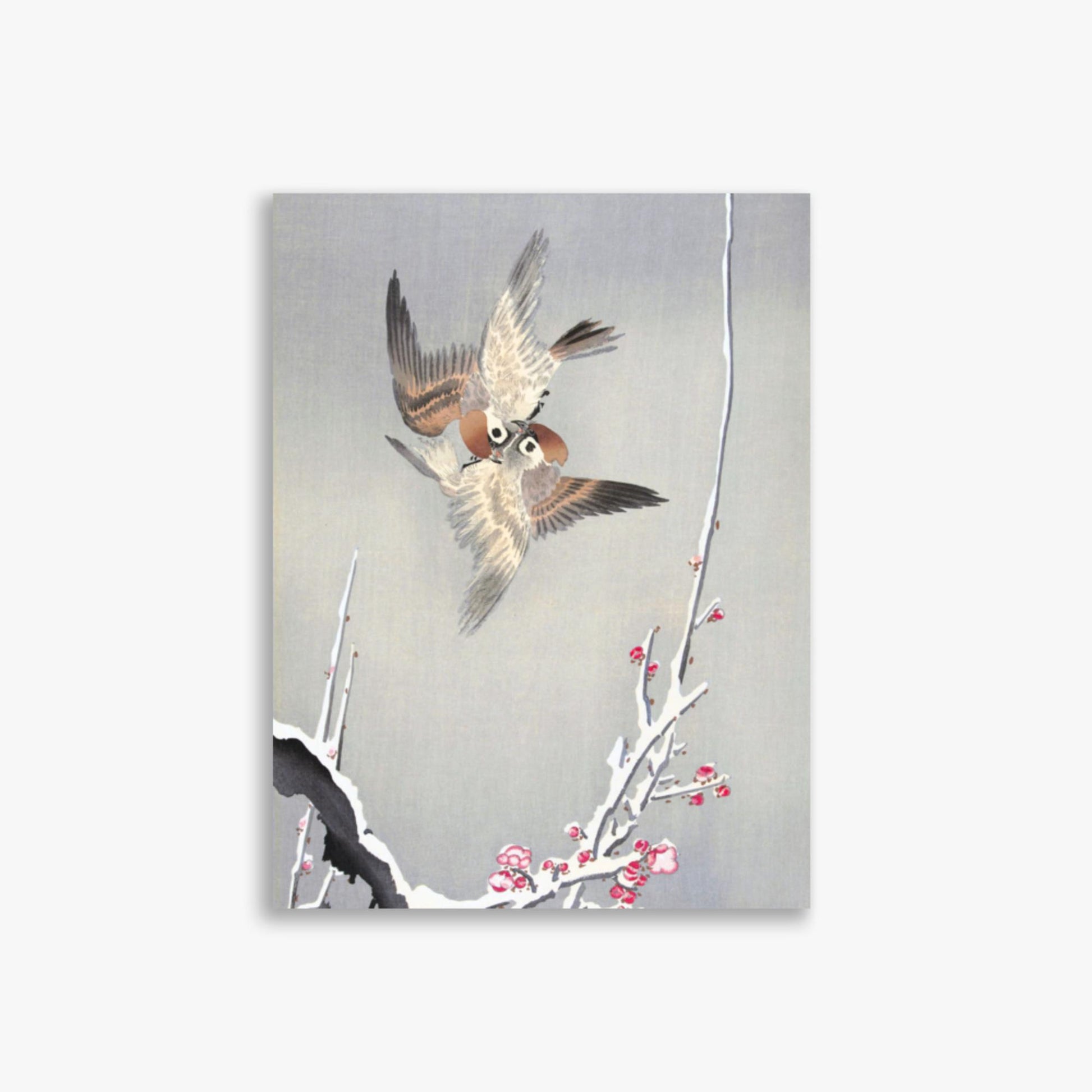 Ohara Koson - Sparrows and Snowy Plum Tree 30x40 cm Poster