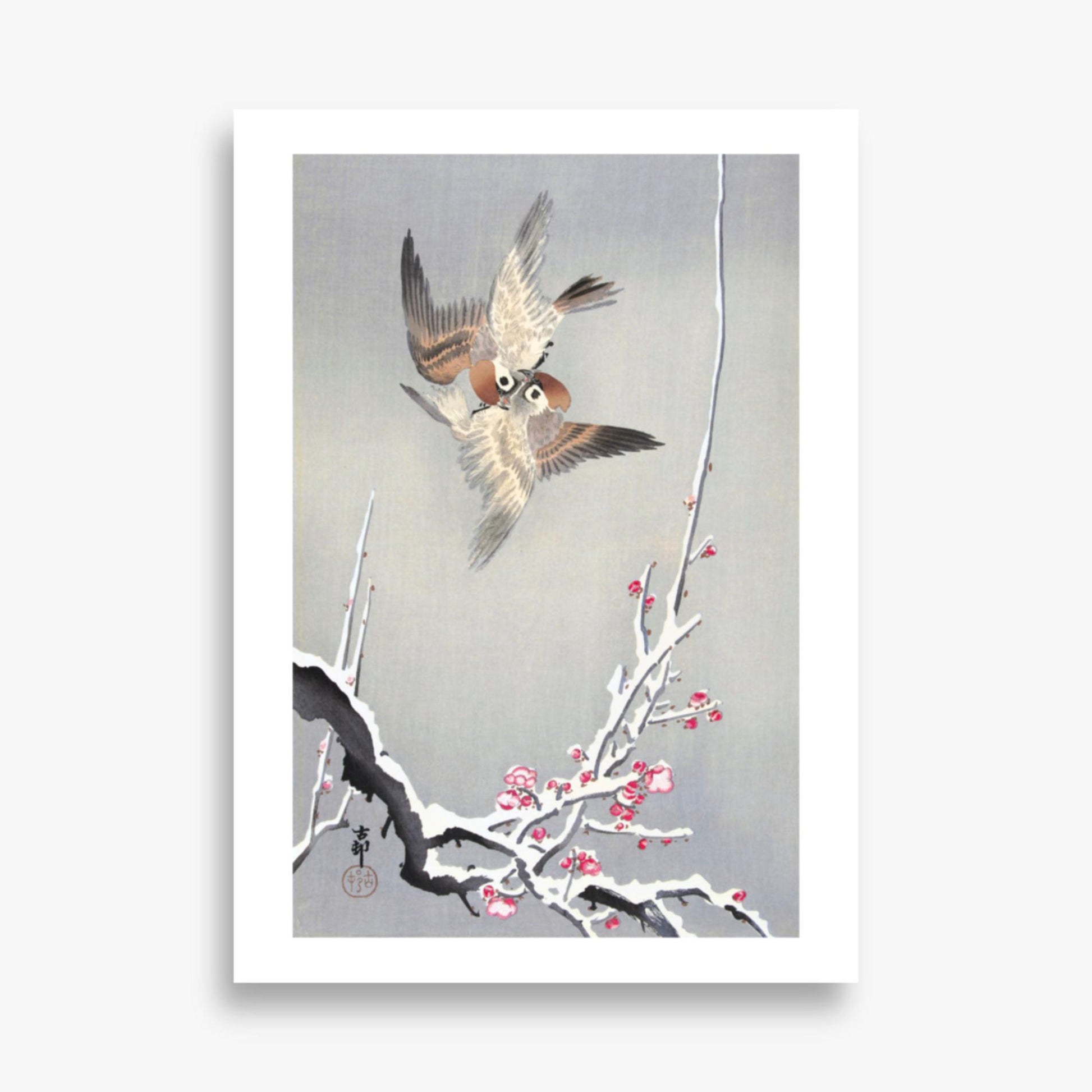 Ohara Koson - Sparrows and Snowy Plum Tree 50x70 cm Poster