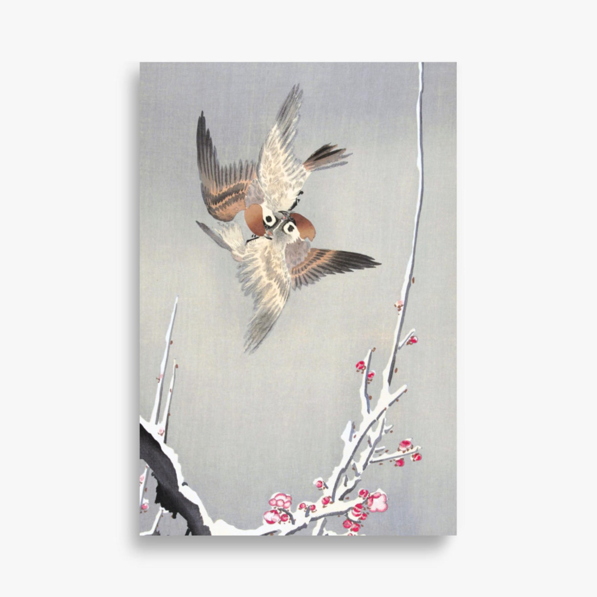 Ohara Koson - Sparrows and Snowy Plum Tree 61x91 cm Poster
